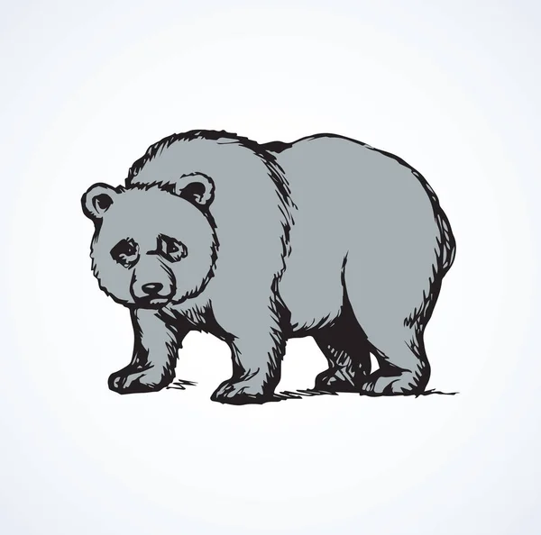 Panda. Wektor rysunek — Wektor stockowy