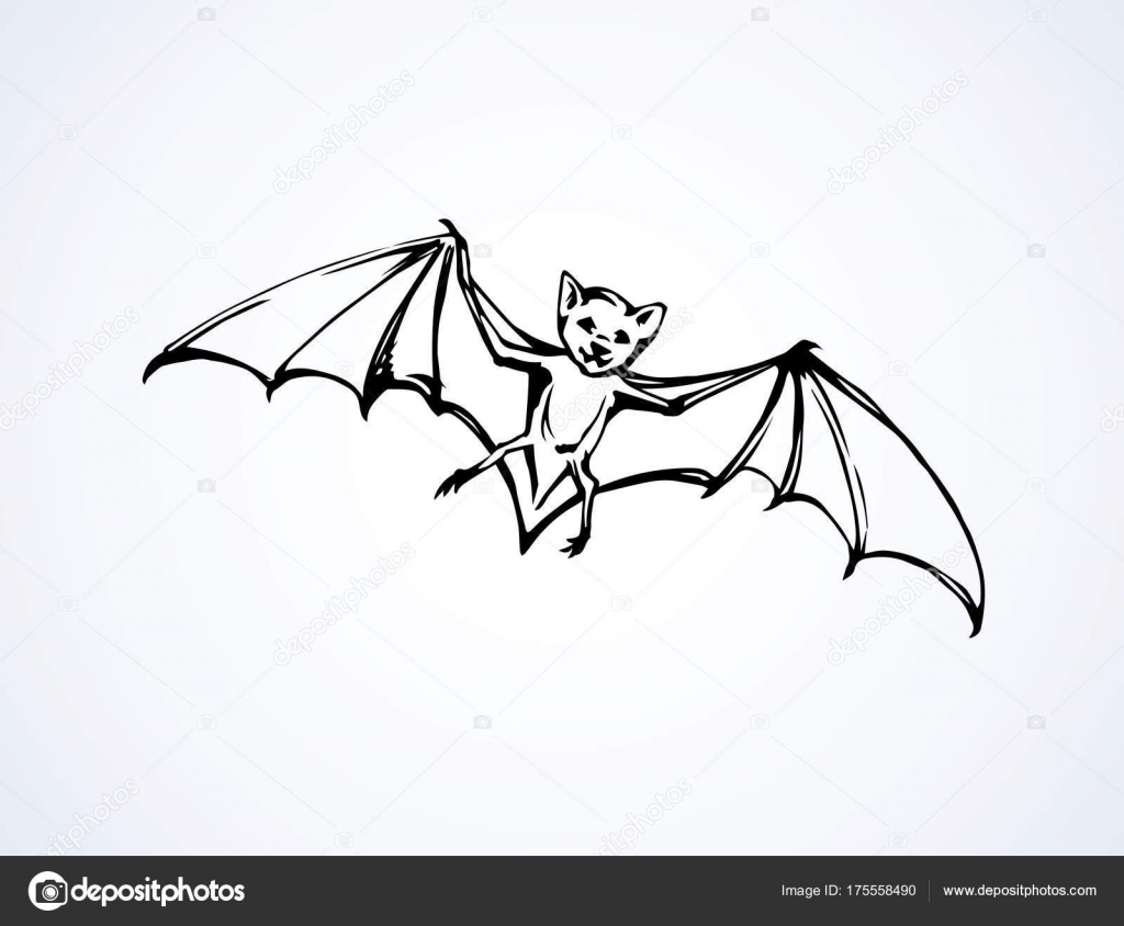 Летучая мышь Векторный рисунок — Векторное изображение © Marinka #175558490