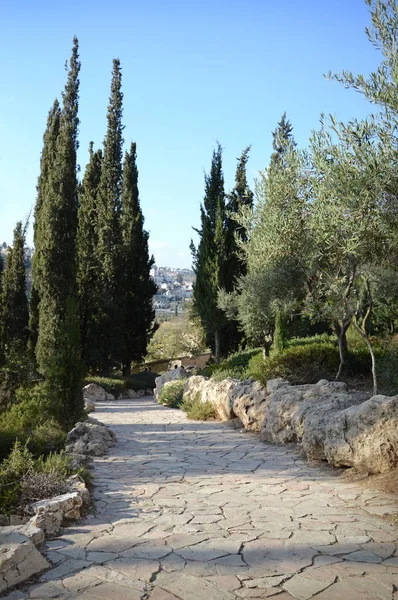 Vista de Jerusalém do Monte das Oliveiras — Fotografia de Stock