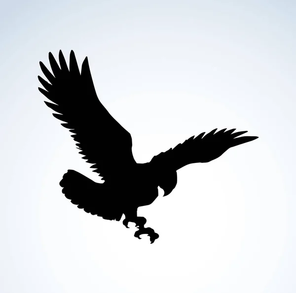 Eagle. Vector tekening — Stockvector