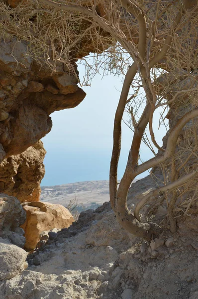 Parque de Ein Gedi — Foto de Stock