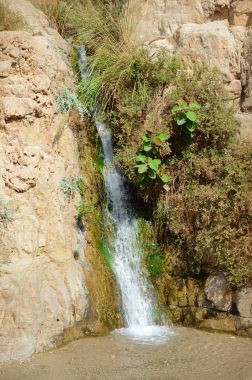 Şelale kayalarda Ein Gedi Dead Sea