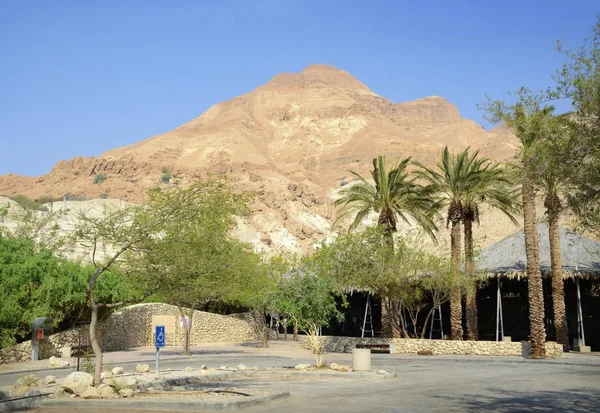 Parque de Ein Gedy — Fotografia de Stock