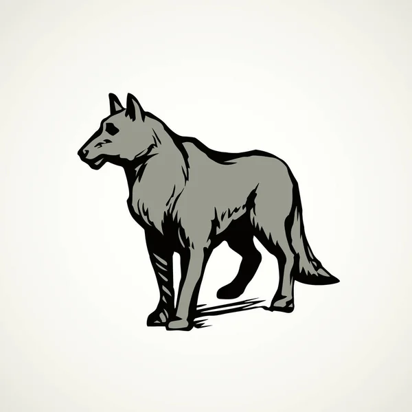 Le loup. Dessin vectoriel — Image vectorielle