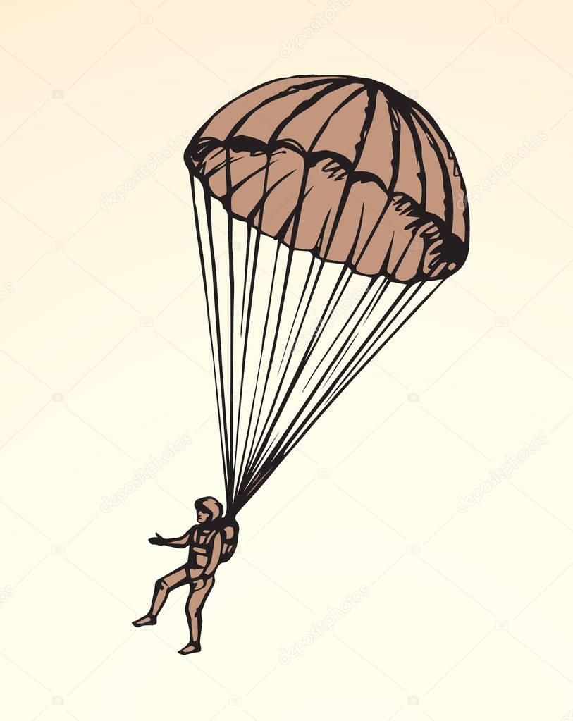 Parachutist. Vector drawing