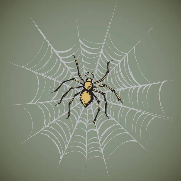 Araña. Ilustración vectorial — Vector de stock