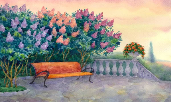 Скамейка под цветущей сиренью — стоковое фото