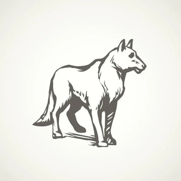 Lobo. Desenho vetorial — Vetor de Stock