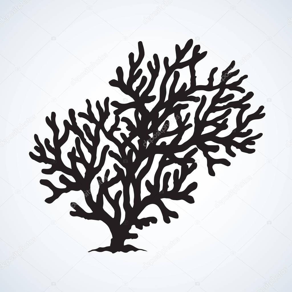 Deep old invertebrate Anthozoa Cnidaria polyp bush isolated on white backdrop. Dark ink hand drawn picture emblem in art retro contour print style. View closeup with space for text