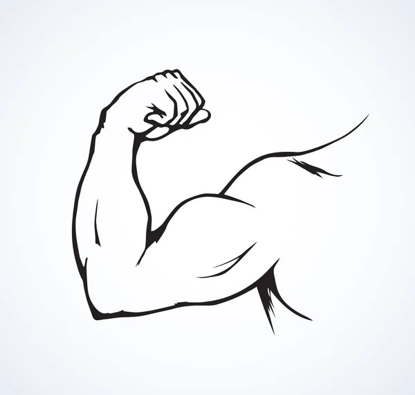 Vuist en biceps. Vector tekening — Stockvector