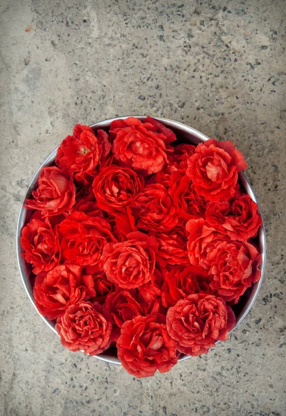 Rosas rosadas en tazón — Foto de Stock