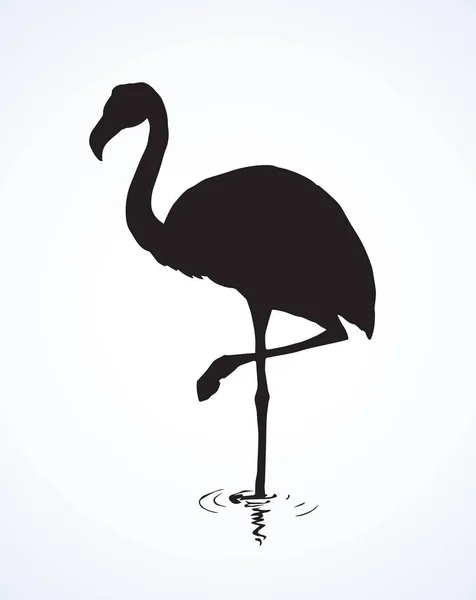 Flamant rose. Dessin vectoriel — Image vectorielle