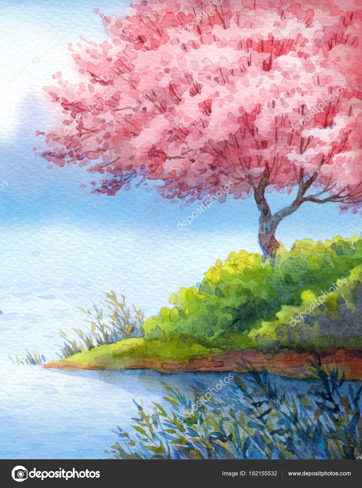 Spring Watercolor Landscape Flowering Trees Over Lake Stock Photo Image By C Marinka Spring Watercolor Landscape Flowering Trees Over Lake Stock Photo Image By C Marinka