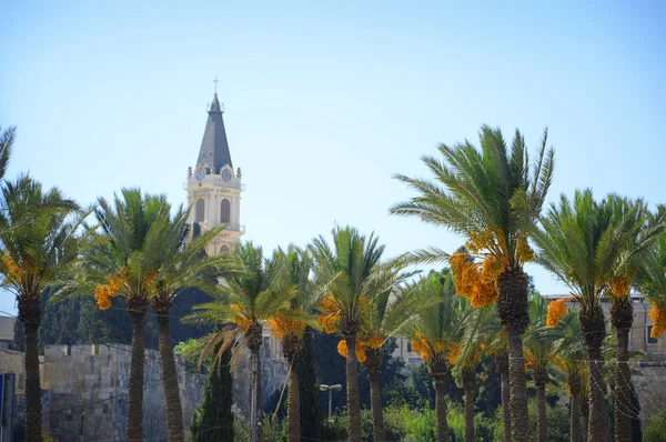 Klooster van Saint Saviour in Jeruzalem — Stockfoto