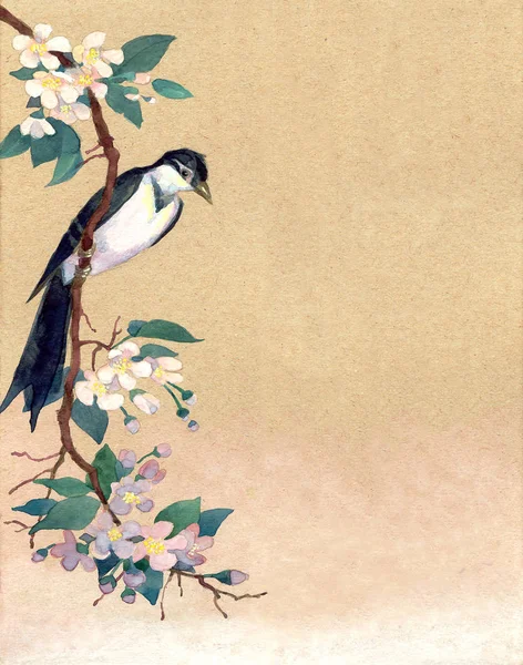 Watercolor background. Rrobin on a branch of apple blossoms — Stock Photo, Image