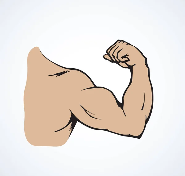 Puño y bíceps. Dibujo vectorial — Archivo Imágenes Vectoriales