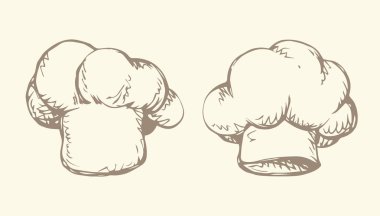 Şapka aşçı. Vektör çizim