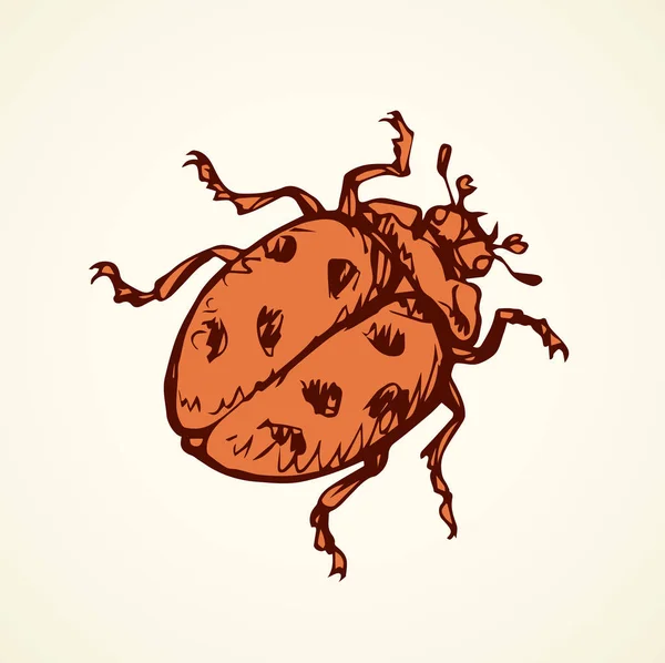 Coccinelle. Dessin vectoriel — Image vectorielle