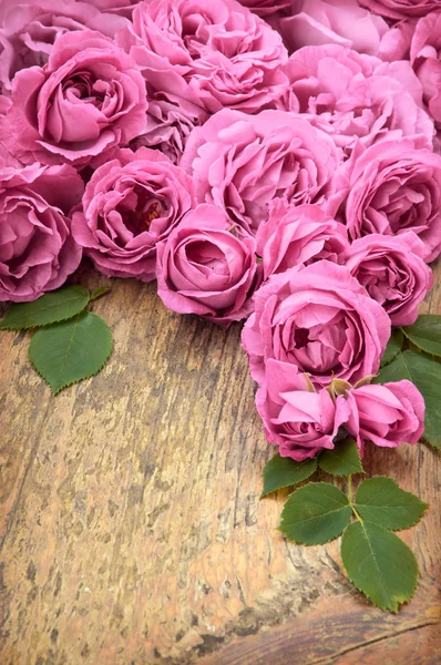 Pink roses on wooden background — Stock Photo, Image