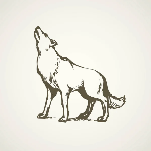 Wolf. Vector tekening — Stockvector