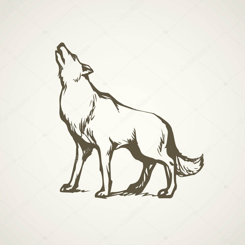 Furry gray canidae lagopus lupus stand on light sky backdrop. Freehand line black ink hand drawn picture sketchy in art retro doodle etching style pen on paper. Closeup side view with space for text