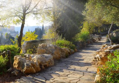 Kudüs'ten zeytin Dağı manzarası