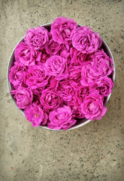 Pink Roses in bowl — Stock Photo, Image