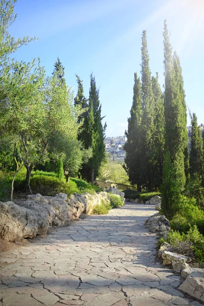 Вид на Иерусалим с Елеонской горы — стоковое фото