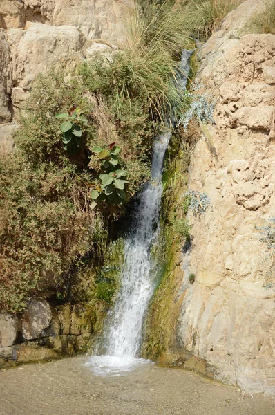 Waterval in de rotsen van Ein Gedi dode zee — Stockfoto