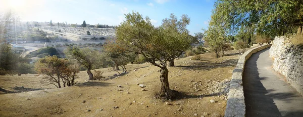Vista de Jerusalém do Monte das Oliveiras — Fotografia de Stock