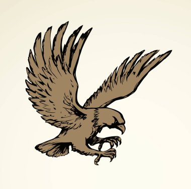 Kartal. Vektör çizim