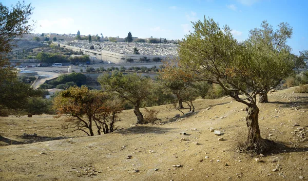 Vista de Jerusalém do Monte das Oliveiras — Fotografia de Stock