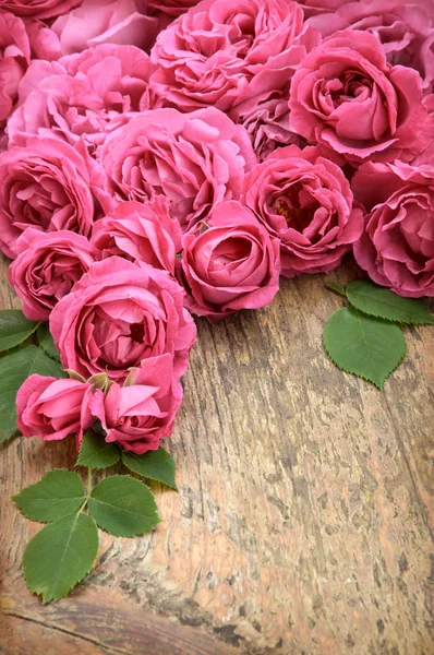 Pink roses on wooden background — Stock Photo, Image