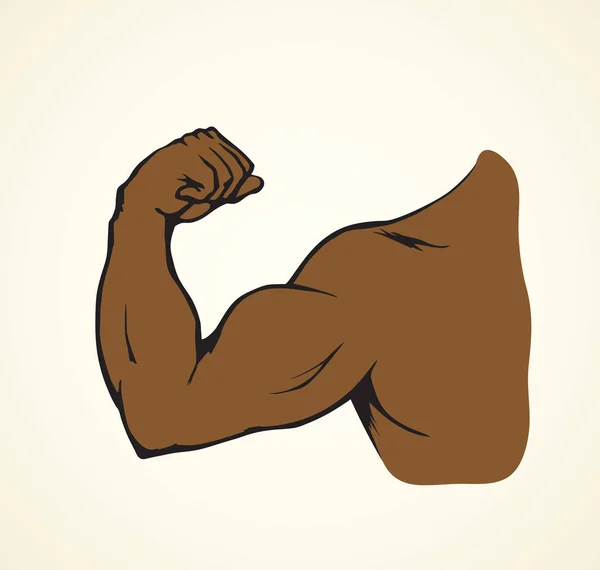 Pěst a biceps. Vektorové kreslení — Stockový vektor