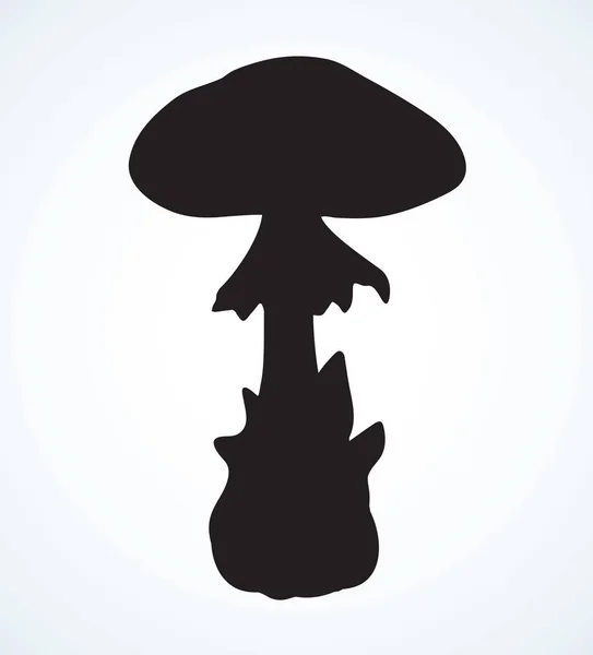 Отруйний гриб. Векторний малюнок — стоковий вектор