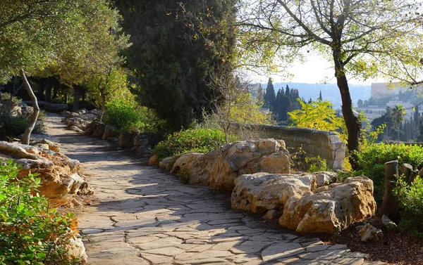 Kudüs'ten zeytin Dağı manzarası — Stok fotoğraf