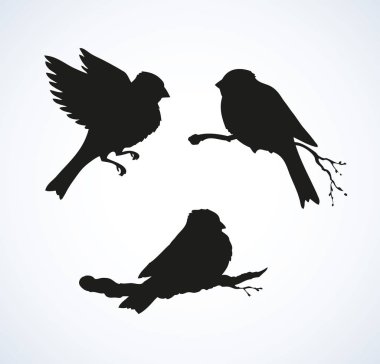 Vektör çizim. Göğüsleri