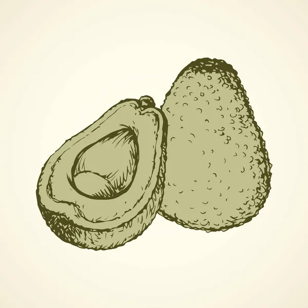 Aguacate. Dibujo vectorial — Archivo Imágenes Vectoriales