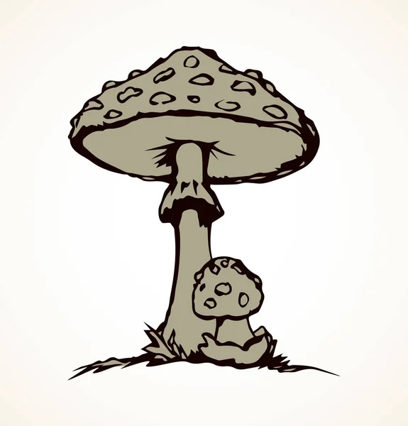 Jedovaté houby. Vektorové kreslení — Stockový vektor