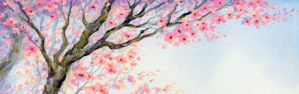 Vacker fågel på blommande gren. Akvarellmålning — Stockfoto