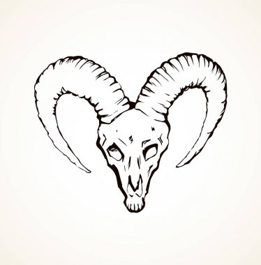 Kafatası öküz. Vektör çizim