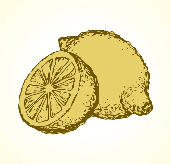 レモン。ベクトル描画 — ストックベクタ