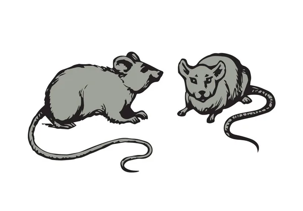Myszy. Wektor rysunek — Wektor stockowy