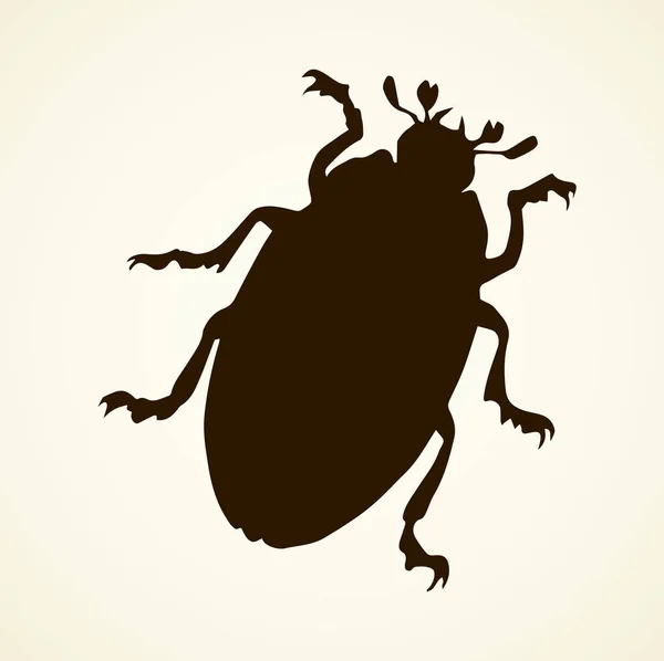 Beetle. Vector drawing — Stock Vector