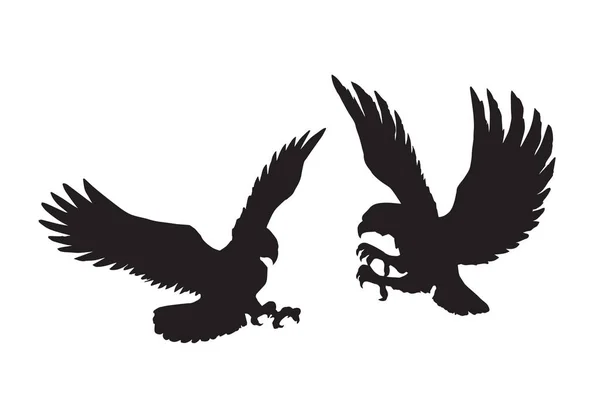 Eagle. Vector tekening — Stockvector