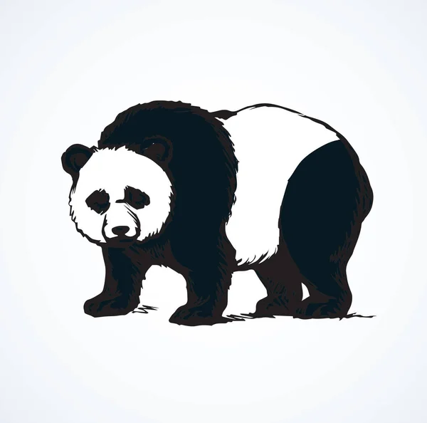 Panda. Vektoros rajz — Stock Vector