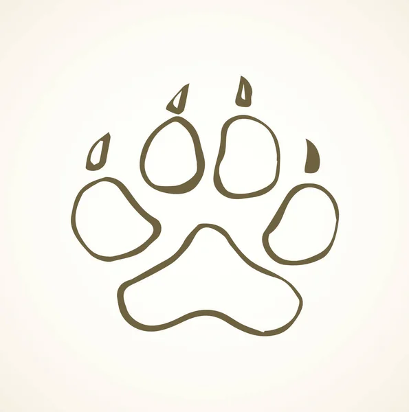 Traces of a bear. Vector drawing Royalty Free Stock Vectors