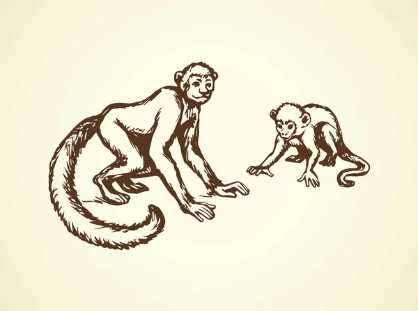 Lemur. Vector illustration — Stock Vector