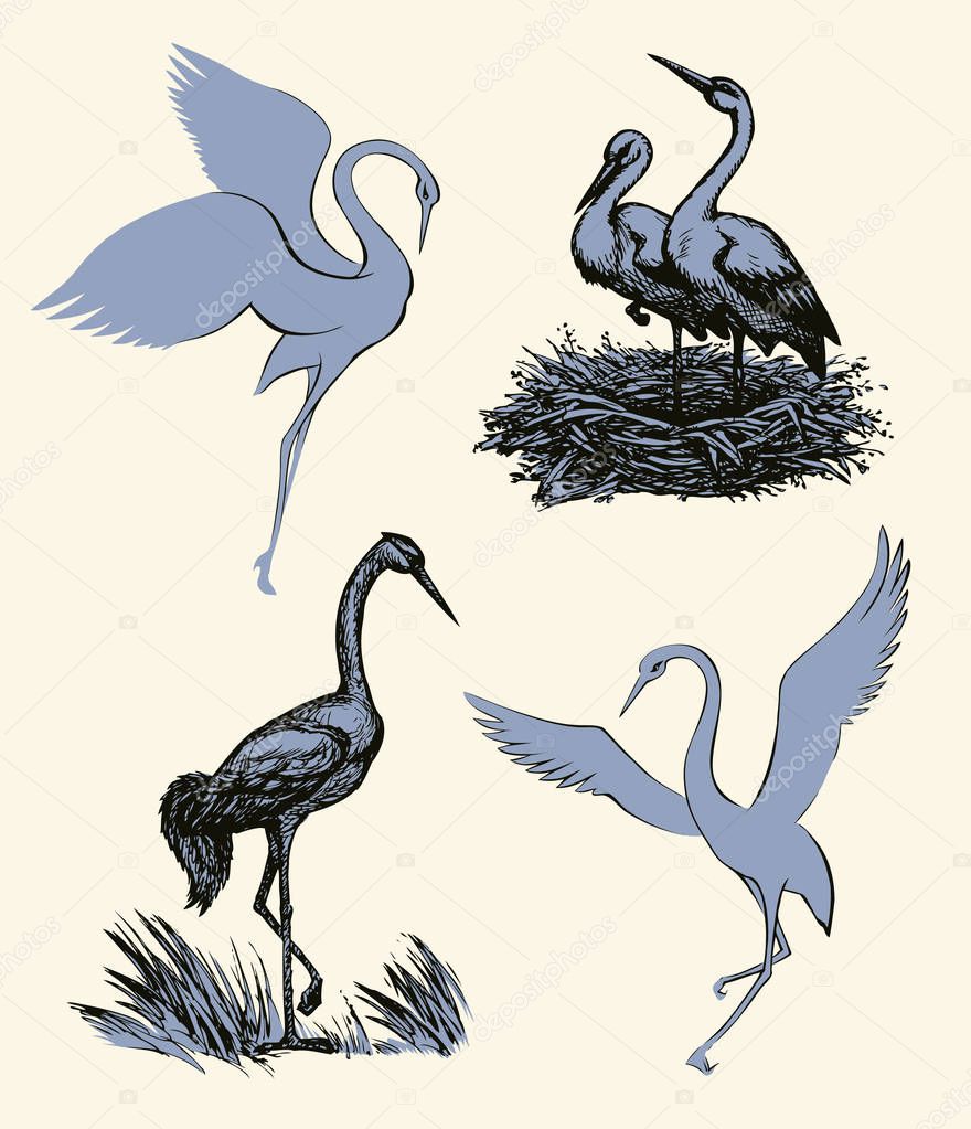 Vector background with pairs of storks in the nest 