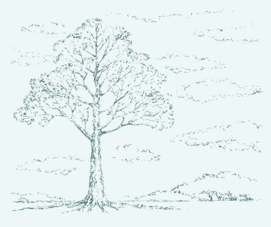 Eski karalama tarzında büyük yaşlı bir ağaç.